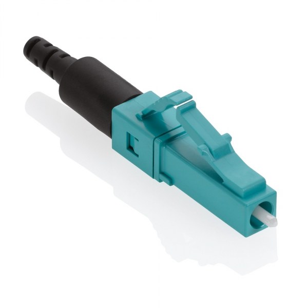 49991-LLC